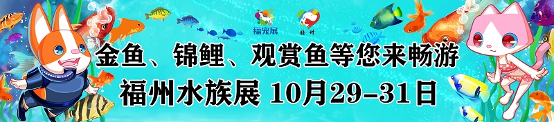 淡水观赏鱼种类大全 这些你都知道吗_福宠展宣传海报